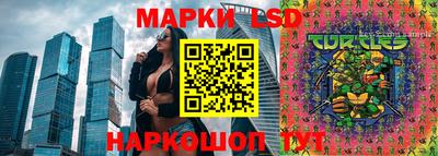 молекула духа Ливны