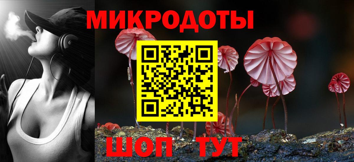 Димитровград  Галлюциногенные грибы мицелий  Вход с VPN  Псилоцибиновые грибы Psilocybine cubensis 